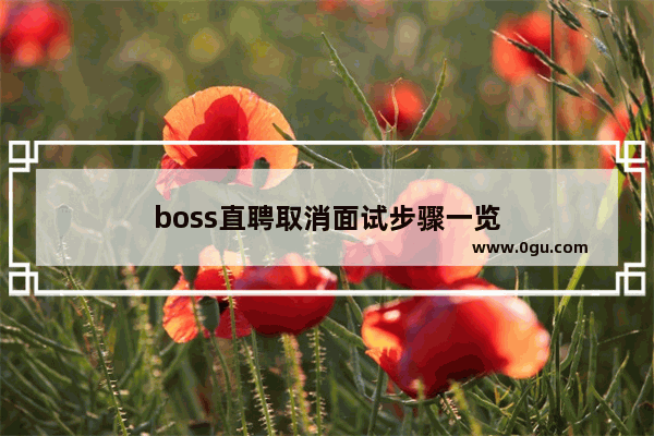 boss直聘取消面试步骤一览