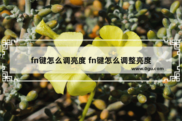 fn键怎么调亮度 fn键怎么调整亮度