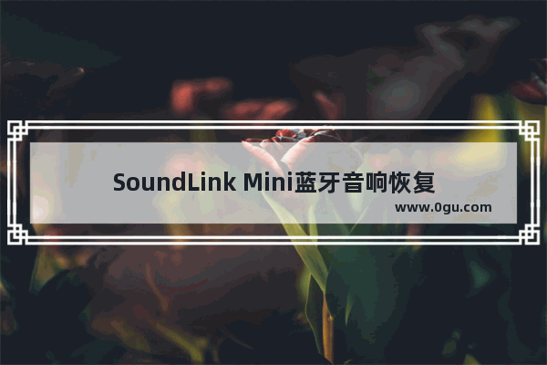 SoundLink Mini蓝牙音响恢复出厂值设置的方法介绍