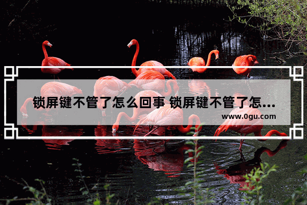锁屏键不管了怎么回事 锁屏键不管了怎么回事儿