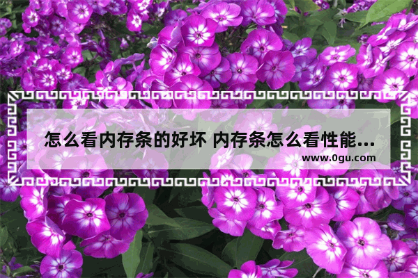 怎么看内存条的好坏 内存条怎么看性能好坏
