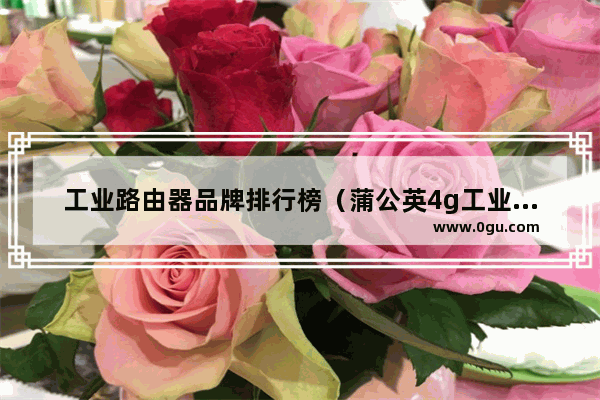 工业路由器品牌排行榜（蒲公英4g工业路由器）