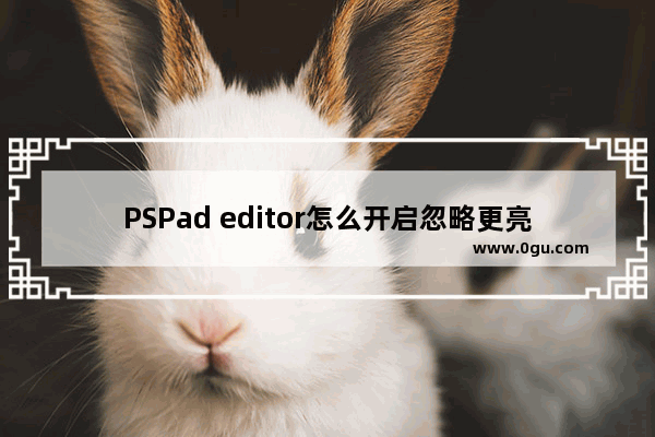 PSPad editor怎么开启忽略更亮的颜色