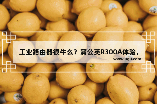 工业路由器很牛么？蒲公英R300A体验，4G、组网都牛