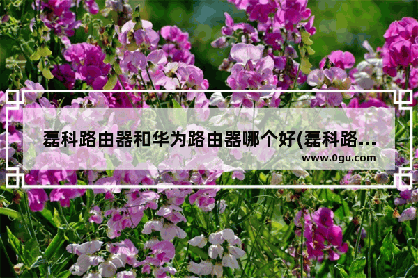 磊科路由器和华为路由器哪个好(磊科路由器好吗?)