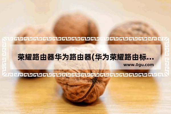 荣耀路由器华为路由器(华为荣耀路由标准版)