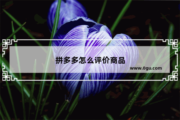 拼多多怎么评价商品