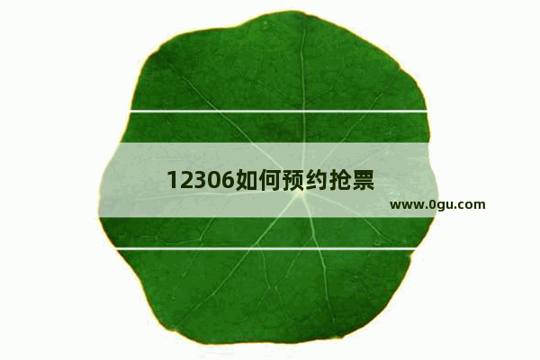 12306如何预约抢票