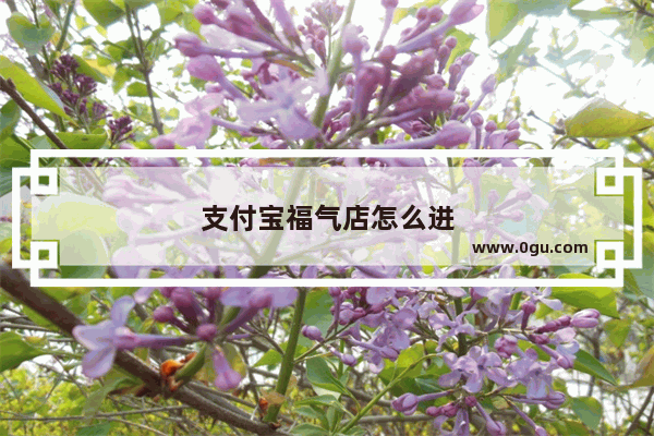 支付宝福气店怎么进