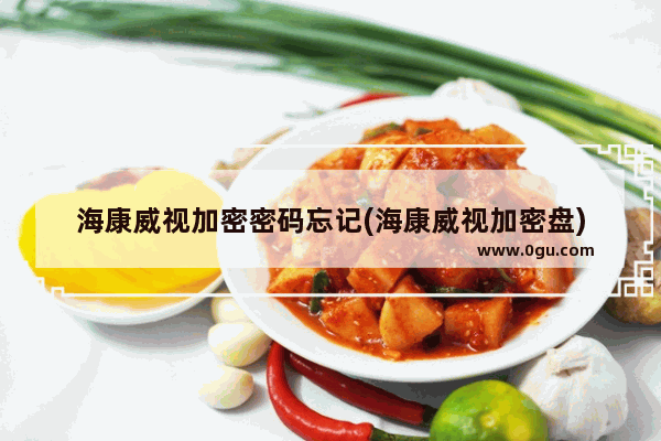 海康威视加密密码忘记(海康威视加密盘)
