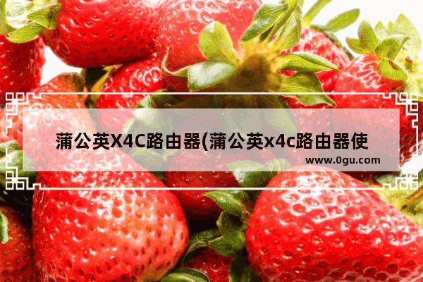 蒲公英X4C路由器(蒲公英x4c路由器使用教程)