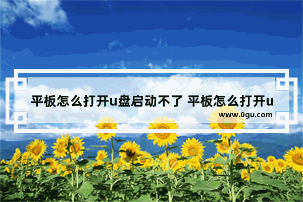 平板怎么打开u盘启动不了 平板怎么打开u盘启动不了文件