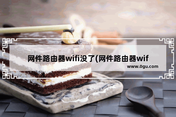 网件路由器wifi没了(网件路由器wifi不稳定)