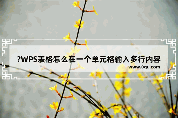 ?WPS表格怎么在一个单元格输入多行内容 WPS表格电脑版一个单元格写多行文字的方法教程