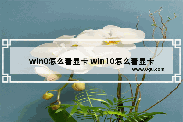 win0怎么看显卡 win10怎么看显卡显存
