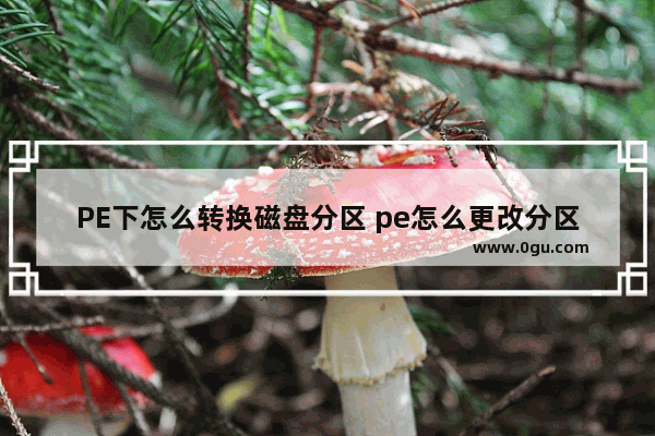 PE下怎么转换磁盘分区 pe怎么更改分区盘为c盘