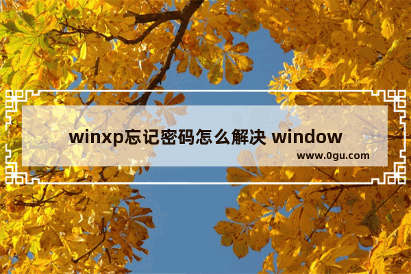 winxp忘记密码怎么解决 windowsxp忘了密码怎么办
