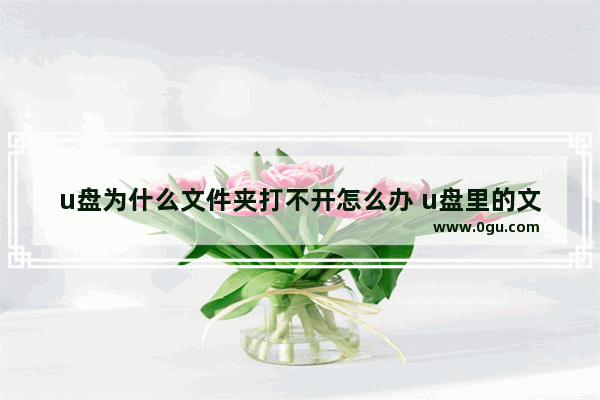u盘为什么文件夹打不开怎么办 u盘里的文件夹打不开怎么回事