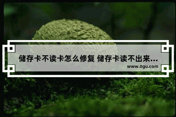 储存卡不读卡怎么修复 储存卡读不出来怎么回事