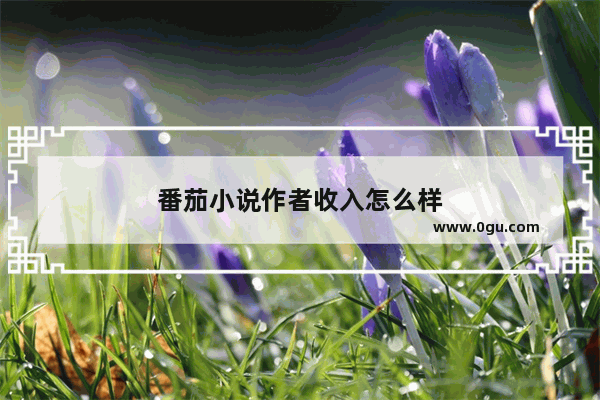 番茄小说作者收入怎么样