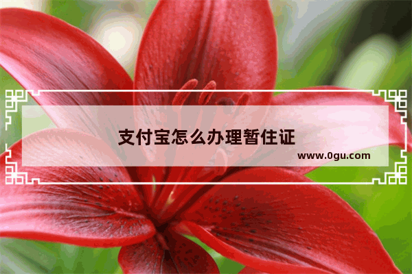 支付宝怎么办理暂住证