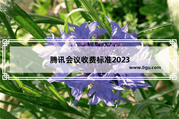 腾讯会议收费标准2023