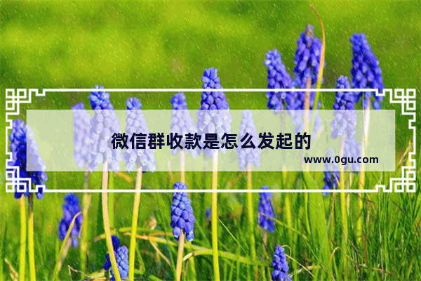 微信群收款是怎么发起的