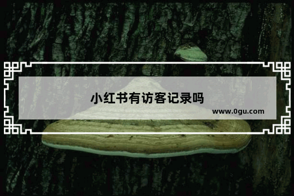小红书有访客记录吗