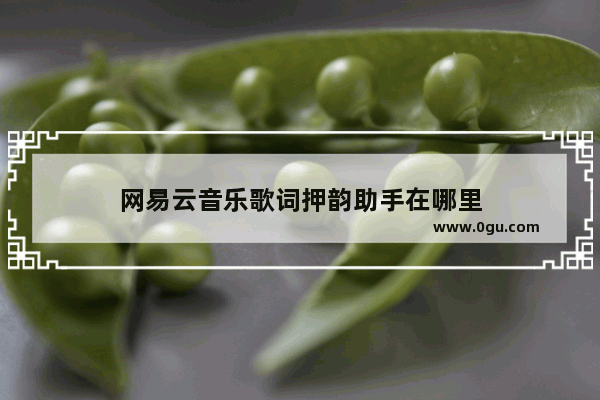 网易云音乐歌词押韵助手在哪里