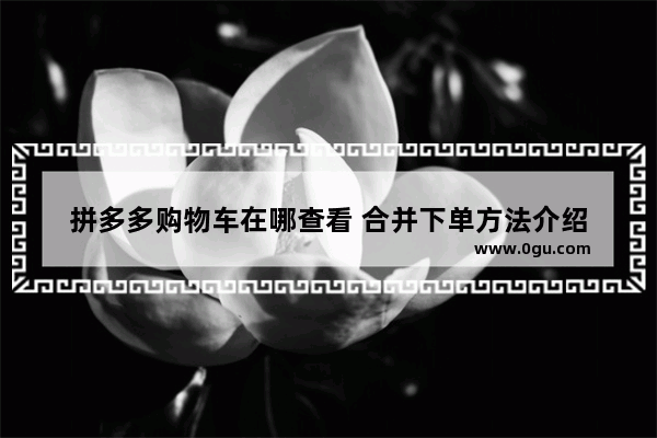 拼多多购物车在哪查看 合并下单方法介绍