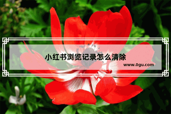 小红书浏览记录怎么清除