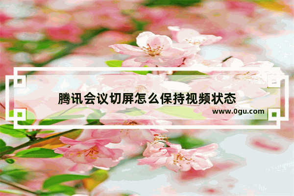 腾讯会议切屏怎么保持视频状态