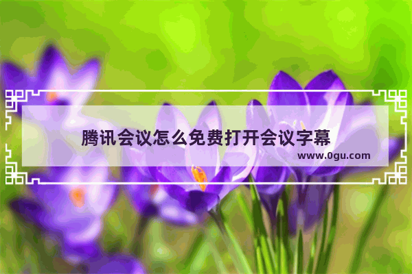 腾讯会议怎么免费打开会议字幕