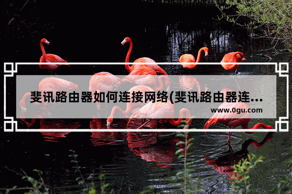 斐讯路由器如何连接网络(斐讯路由器连接校园网)
