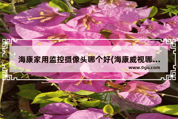 海康家用监控摄像头哪个好(海康威视哪一款监控比较好)