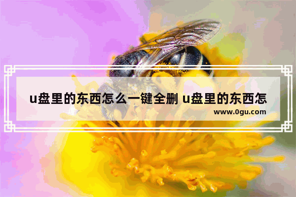 u盘里的东西怎么一键全删 u盘里的东西怎么一键全删掉