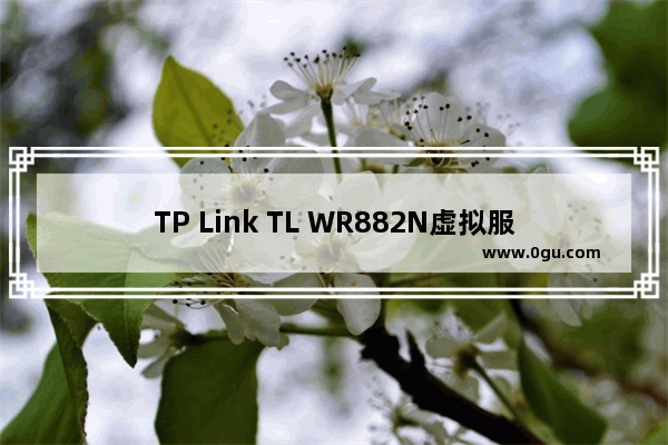 TP Link TL WR882N虚拟服务器(端口映射)设置方法