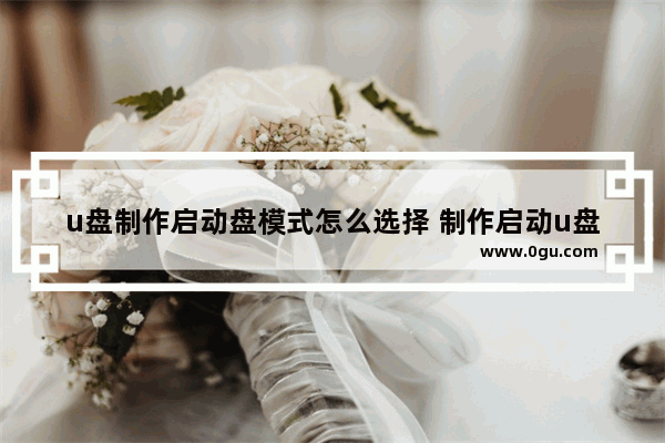 u盘制作启动盘模式怎么选择 制作启动u盘选项