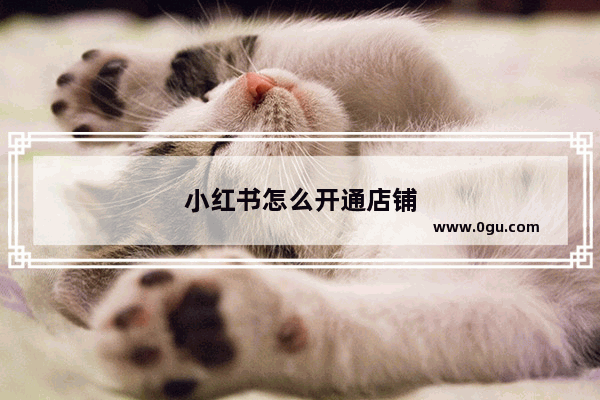 小红书怎么开通店铺