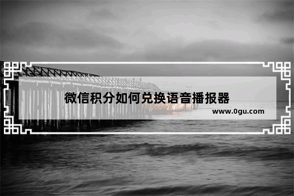 微信积分如何兑换语音播报器