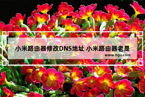 小米路由器修改DNS地址 小米路由器老是dns出错