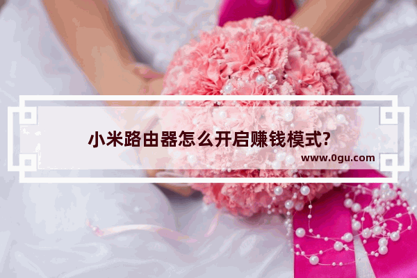 小米路由器怎么开启赚钱模式?