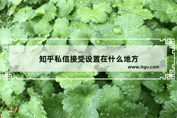 知乎私信接受设置在什么地方