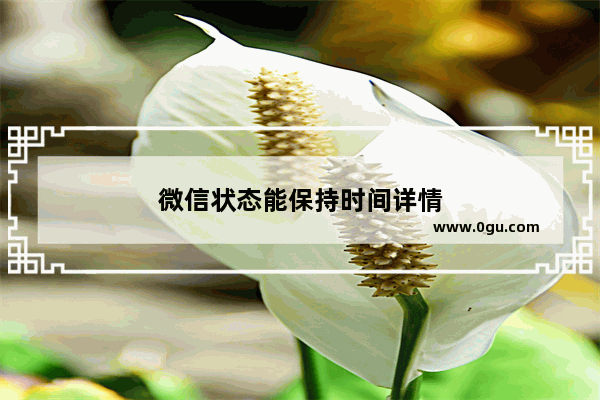 微信状态能保持时间详情