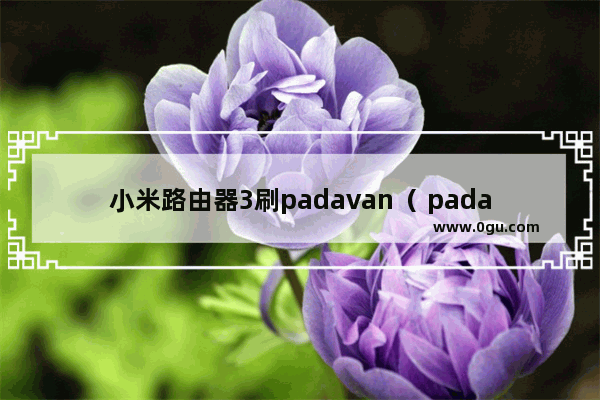 小米路由器3刷padavan( padavan功能及配置教学)