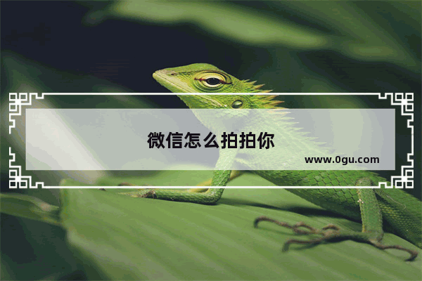 微信怎么拍拍你