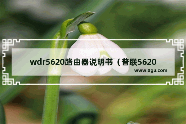 wdr5620路由器说明书（普联5620千兆版怎么样）
