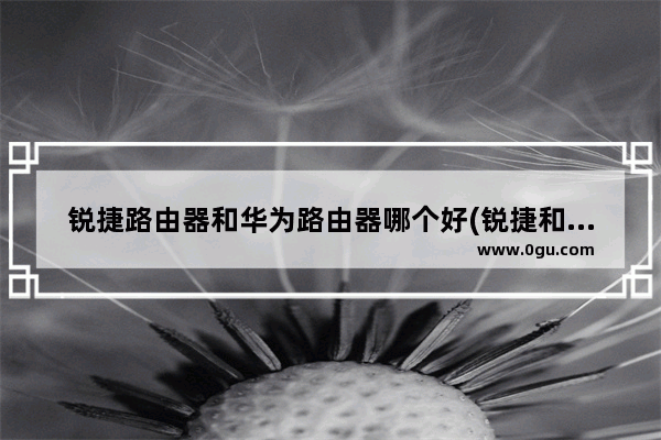 锐捷路由器和华为路由器哪个好(锐捷和华为是一个档次吗)