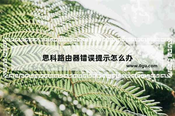 思科路由器错误提示怎么办