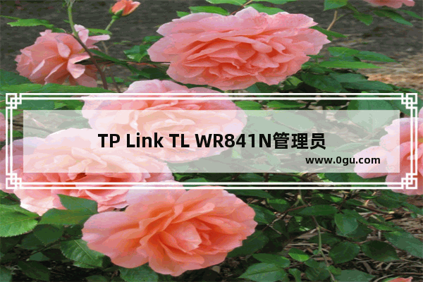 TP Link TL WR841N管理员密码(初始密码)是多少